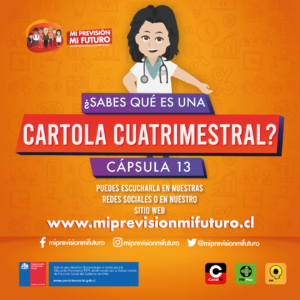 InstagramFeedCapsula13