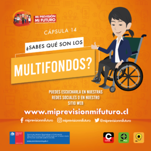 InstagramFeedCapsula14