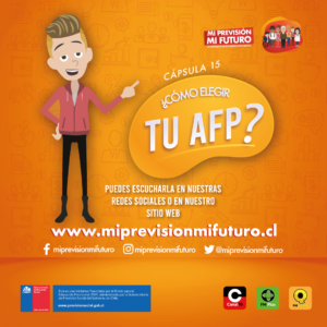 InstagramFeedCapsula15