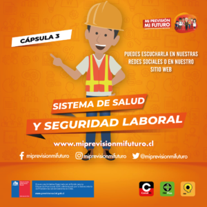 InstagramFeedCapsula3