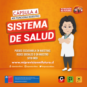 InstagramFeedCapsula4