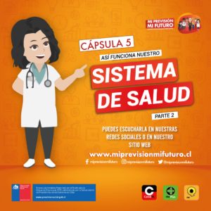 InstagramFeedCapsula5