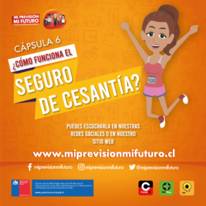 InstagramFeedCapsula6