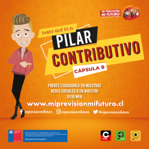 InstagramFeedCapsula8